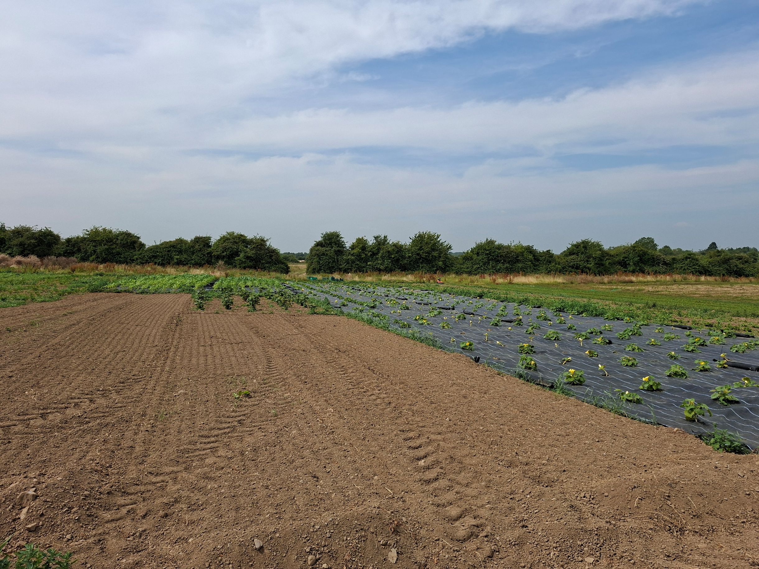 Kyrie Farm volunteers.jpg
